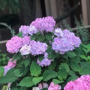 Meet your Posher, Bekah